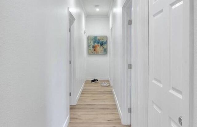 2927 S Catalina St Gallery 3