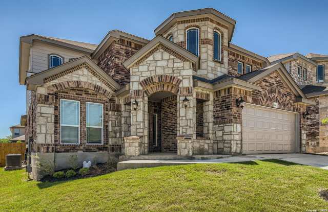 6946 COMANCHE COUGAR Gallery 1
