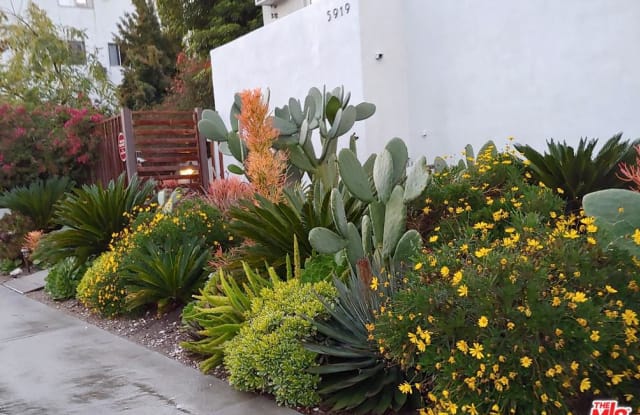 5919 CHULA VISTA Way - 5919 W Chula Vista Way, Los Angeles, CA 90068
