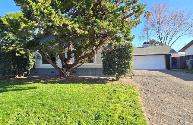 Cute Single Family Home, Lots of Natural Light, Fresh Paint, Wood Floors, Cute Backyard, Great Location! - 1542 Parkview Avenue, San Jose, CA 95130