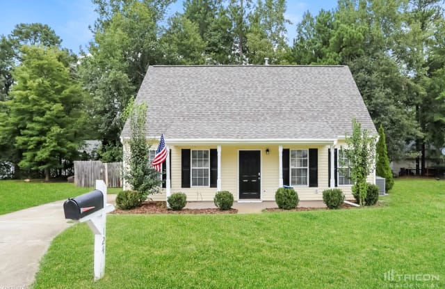 124 Red Feather Court - 124 Red Feather Court, Holly Springs, NC 27540