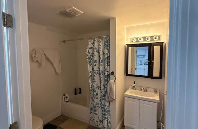 Fantastic Renovated 1-bed in Brighton Gallery 4