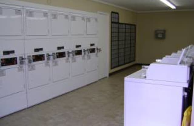 Pinewoods Gallery 4