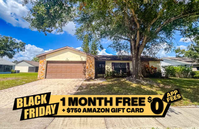 11206 Fiddlewood Drive - 11206 Fiddlewood Drive, Riverview, FL 33579