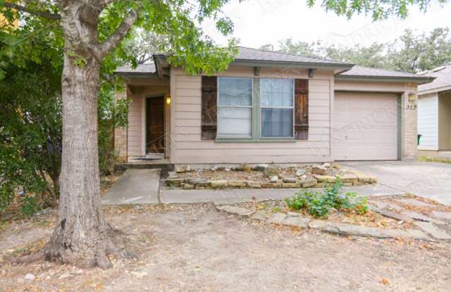 319 Amberdale Oak - 319 Amberdale Oak, San Antonio, TX 78249