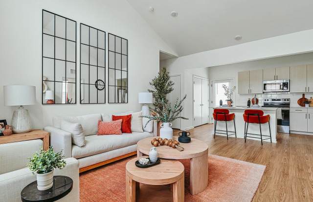 Leo at Cartersville photos photos Leo at Cartersville photos photos