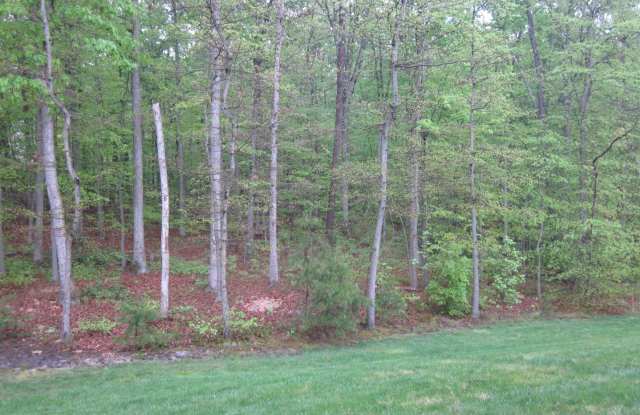 4903 Marchwood Court Gallery 2