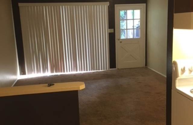 73 Vine Street - Close to the Truckee River! photos photos