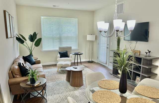 Morgan's Bluff photos photos Morgan's Bluff photos photos