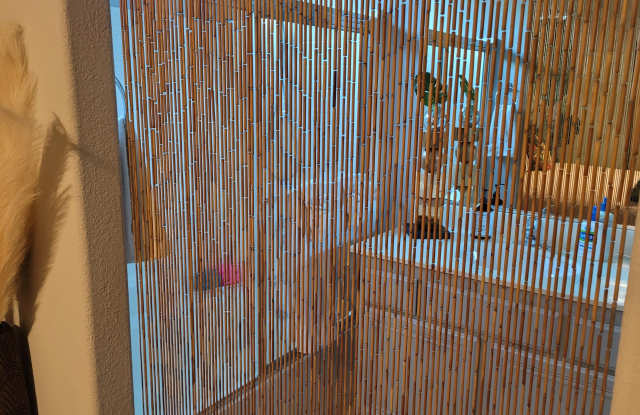 29348 W Laguna Drive Gallery 3