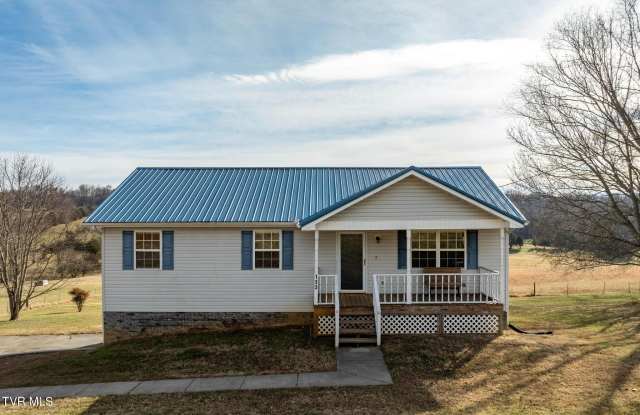 133 Paynetown Road - 133 Paynetown Road, Telford, TN 37690