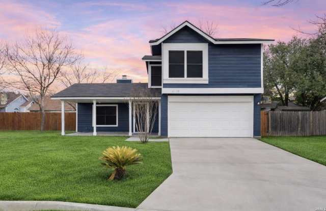 6138 Valley Tree photos photos 6138 Valley Tree photos photos