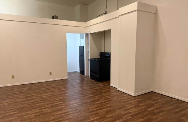 Studio-loft style downtown apartment! 1 Bedroom, 1  1/2 baths,  313 Park Central, Unit 203 in Springfield MO. Gallery 4
