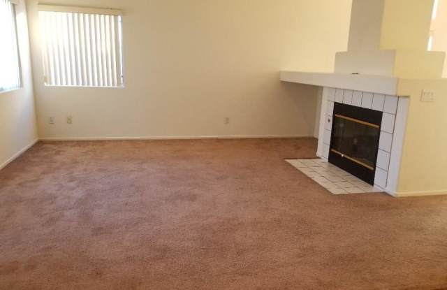 241 AMBER LIGHT Court Gallery 3