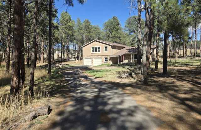 Colorado living in the trees of Black Forest photos photos