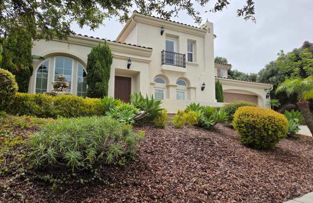 Stunning Spanish Colonial Home in the La Costa Ridge photos photos