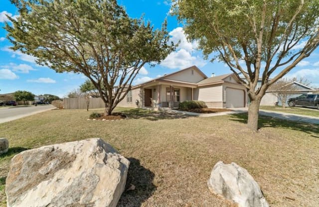 20803 Viola Park - 20803 Viola Park, San Antonio, TX 78259
