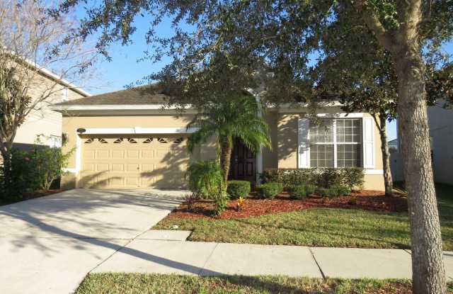 10922 Ancient Futures Drive - 10922 Ancient Futures Drive, Tampa, FL 33647
