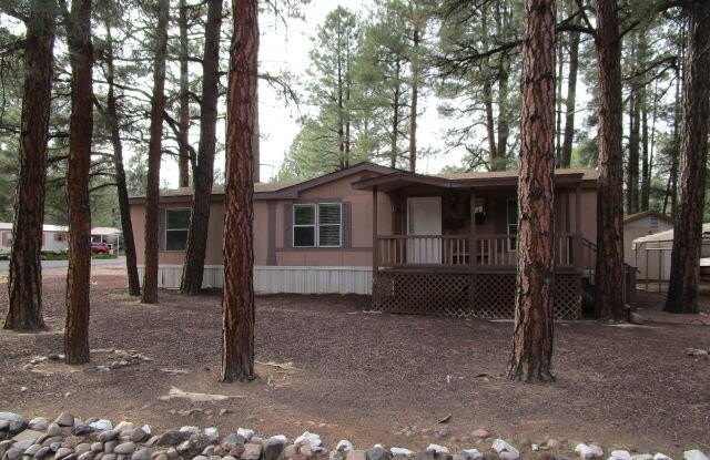 590 S 26Th Drive - 590 South 26th Drive, Show Low, AZ 85901