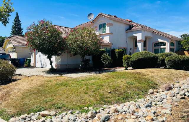 Spacious and Sparkling with New Paint 4 bed/3 bath in Elk Grove 95624 photos photos