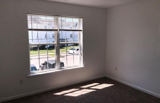 118 SUNDOWN COURT photos photos