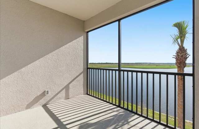 19140 SCALLOP LOOP photos photos