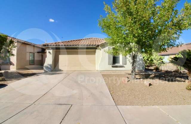 314 West Vuelta Friso - 314 West Vuelta Friso, Sahuarita, AZ 85629