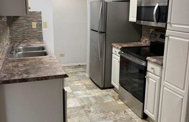 929 Buccaneer Drive - 929 Buccaneer Drive, Schaumburg, IL 60173