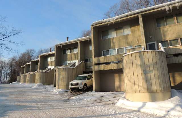 11230 S Cottonwood Dr., #8 - 11230 South Cottonwood Drive, Leelanau County, MI 49684
