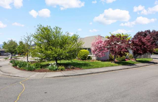3511 Blue Blossom Drive Gallery 4