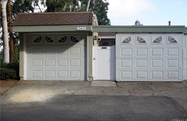22431 Caminito Pacifico - 22431 Caminito Pacifico, Laguna Hills, CA 92653
