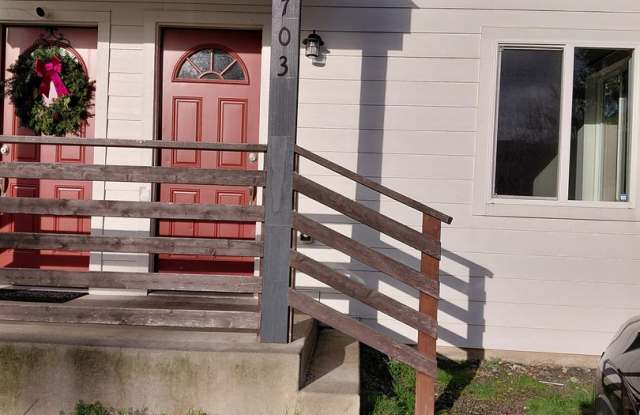 Cozy updated 1 bedroom with rooftop deck - 703 Kendall Street, Port Orchard, WA 98366
