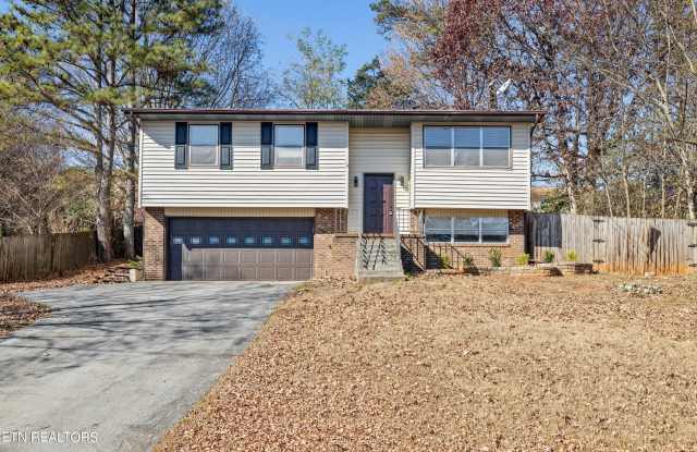 3433 Ben Alder Lane photos photos