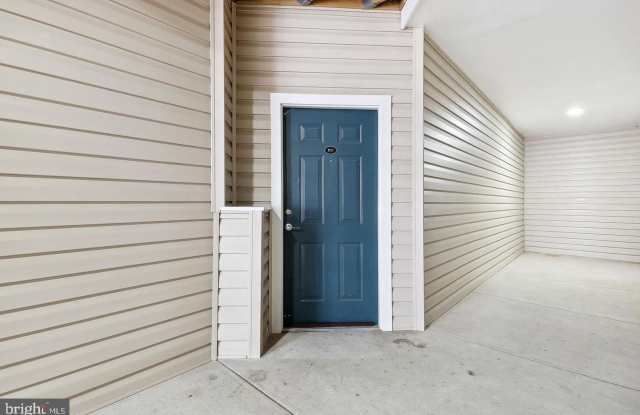42481 ROCKROSE Square Gallery 3