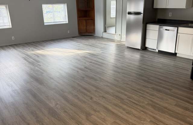 914 Chicago Avenue - Apartment 1 Gallery 2
