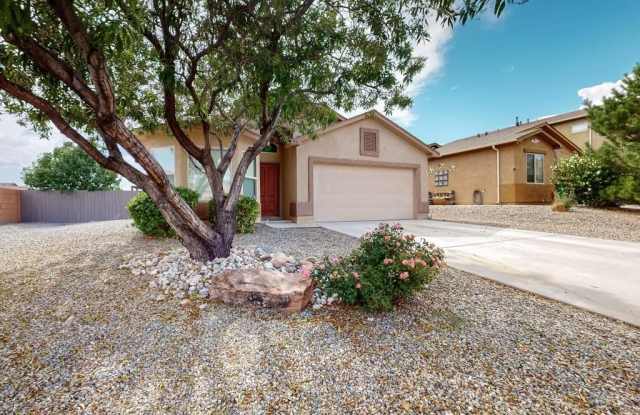 1131 DESERT SUNFLOWER Drive NE photos photos