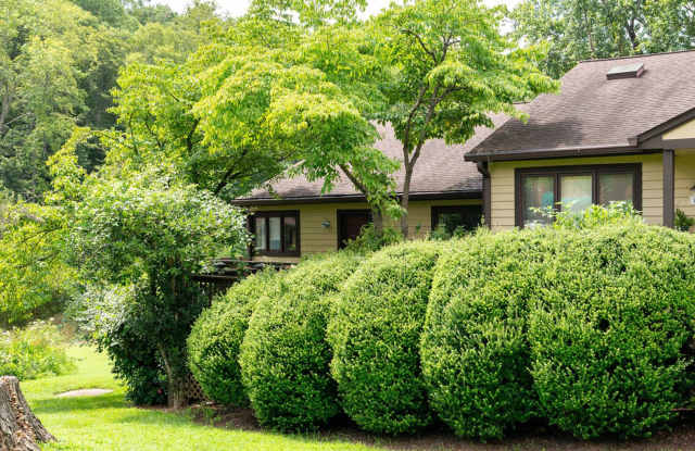 1285 Branchlands Drive - Modern Upgrades  Prime Location! photos photos
