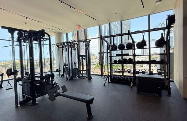 $4200, 1BR/1BA/1PKG Secured, The Park @Ward Village, Luxury Living Gallery 4