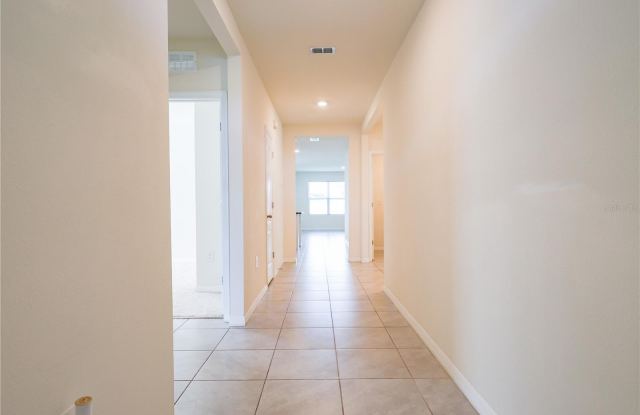 521 TALISI Loop Gallery 2
