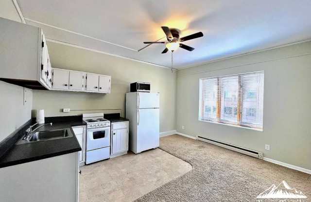 ADORABLE DOWNTOWN CONDO - WALK EVERYWHERE! photos photos