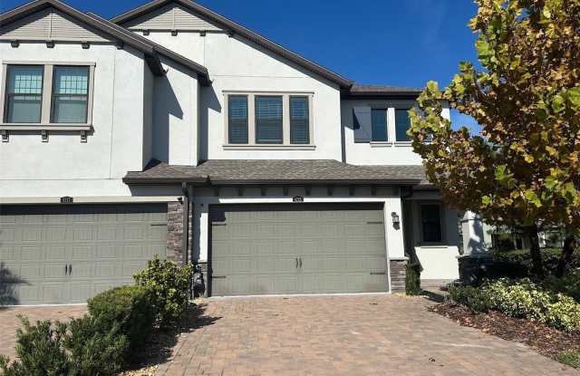 4725 ANCONA WAY - 4725 Ancona Way, Wesley Chapel, FL 33543