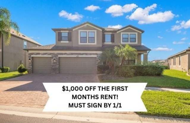 13319 Sunset Shore Circle - 13319 Sunset Shore Circle, Riverview, FL 33579