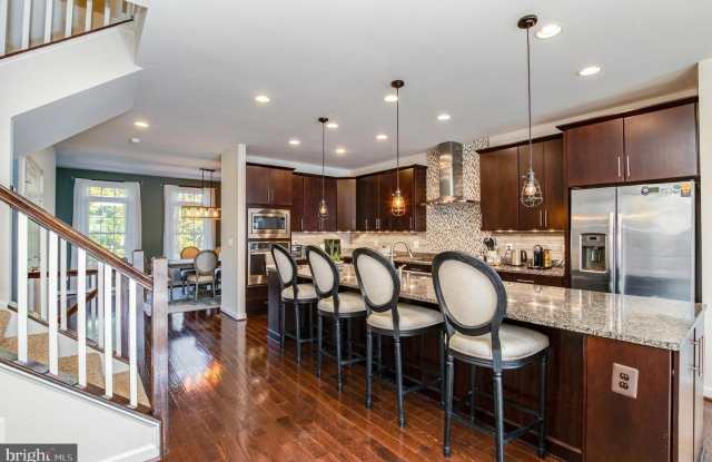 26031 LITTLE ROCKY TER - 26031 Little Rocky Terrace, Loudoun County, VA 20105