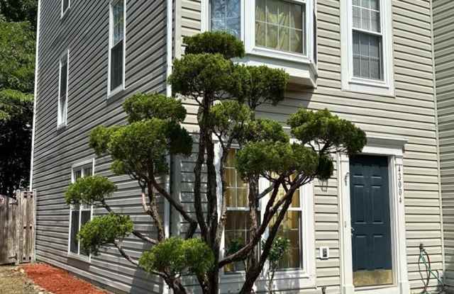 43004 BEACHALL Street - 43004 Beachall Street, South Riding, VA 20152