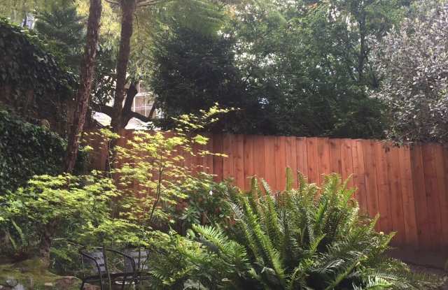 Near Alamo Square Park - 1 bedroom plus extra room - split bathroom  - Shared yard and shared coin-op washer/dryer Gallery 1