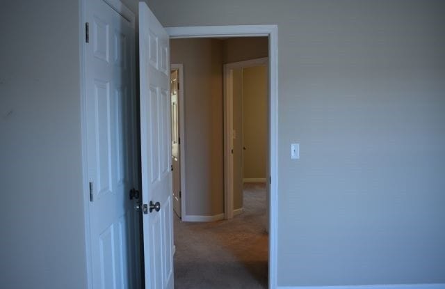 5 Kimberley Street - 1 Gallery 4