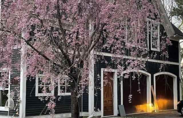 195 N Prospect St - 195 North Prospect Street, Burlington, VT 05401