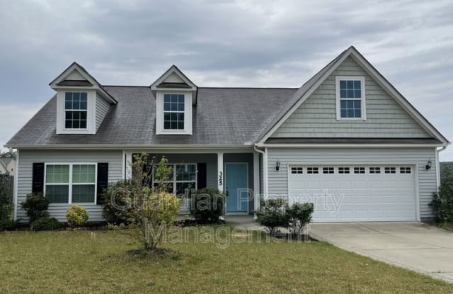 325 Feathers Lane - 325 Feathers Ln, Hoke County, NC 28376