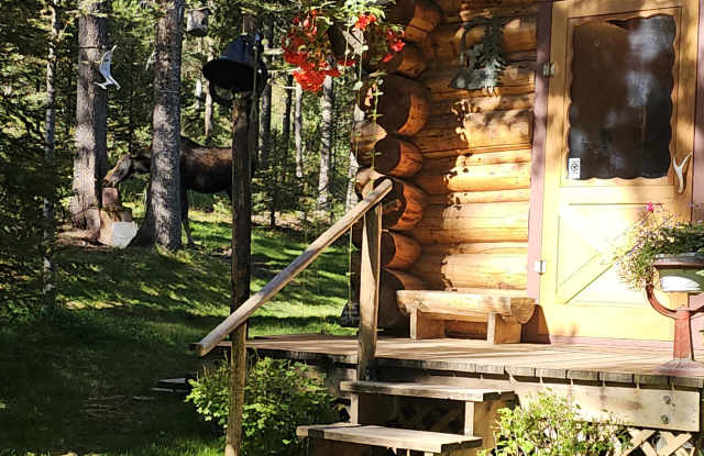 6550 Lodgepole Trail Gallery 3