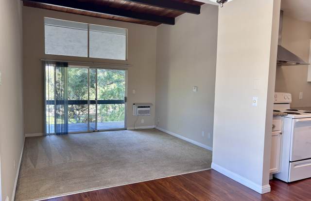 1591 Ellis Street, #313 - 1591 Ellis Street, Concord, CA 94520